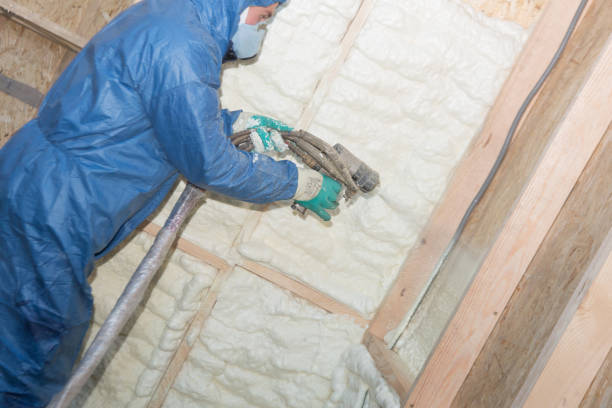 Best Wall Insulation Installation  in Bethany, MO